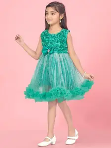 BAESD Girls Net Embellished Sleeveless Fit & Flare Dress