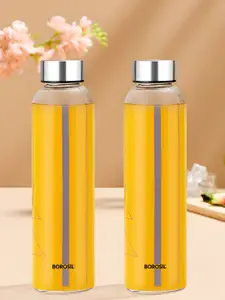 BOROSIL Artisan Series Sintra Transparent 2 Pieces Glass Printed Water Bottle 550 ml