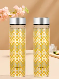 BOROSIL Artisan Transparent & Silver-Toned 2 Pieces Glass Printed Water Bottle 550 ml