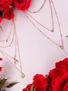 fabula Set of 2 Layered Necklace