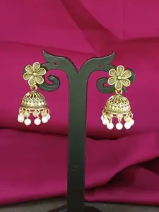 Efulgenz Gold-Plated Contemporary Jhumka Earrings