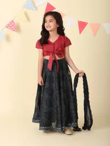 Fabindia Girls Printed Ready to Wear Lehenga & Blouse With Dupatta