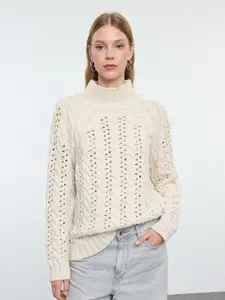 Trendyol Women Self Design Turtle Neck Pullover Sweater