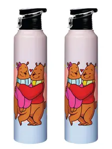 Speedex Multicoloured Single Stainless Steel Solid Water Bottle