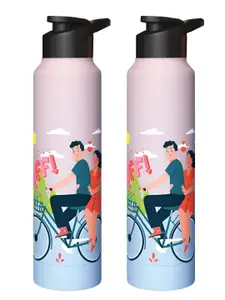 Speedex Multicoloured Single Stainless Steel Solid Water Bottle