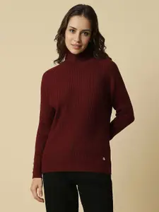 Allen Solly Woman Striped Turtle Neck Long Sleeves Pullover