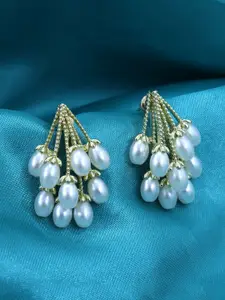 VAGHBHATT Gold Plated Pearls Studded Classic Studs Earrings