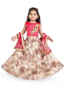 BAESD Girls Embroidered Ready to Wear Lehenga & Blouse With Dupatta