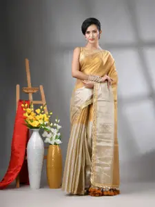 Charukriti Gotta Patti Tissue Saree