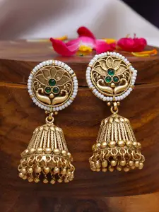 Adwitiya Collection Gold Plated Stone Studded & Beaded Classic Jhumkas