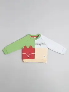 Ed-a-Mamma Baby Boys Colourblocked Applique Cotton Sweatshirt