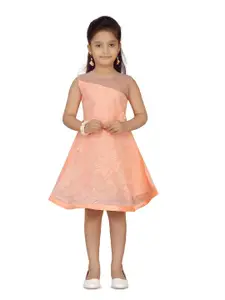 BAESD Girls Floral Embroidered Net Fit & Flare Dress