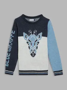 Blue Giraffe Boys Colourblocked Pullover