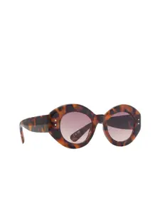 ALDO Women Round Sunglasses RIGAR240-OTHER BROWN