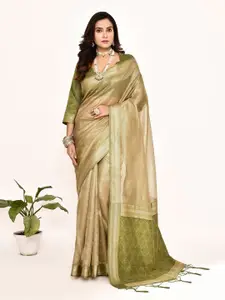 elora Zari Tissue Banarasi Saree