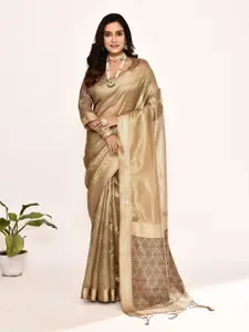elora Woven Design Zari Tissue Banarasi Saree