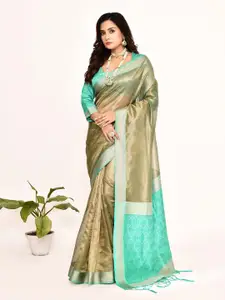 elora Zari Tissue Banarasi Saree