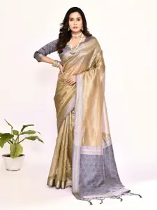 elora Zari Tissue Banarasi Saree