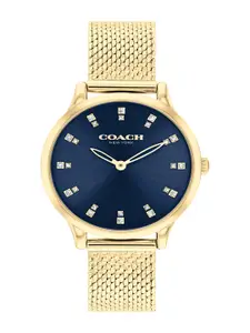Coach Women Chelsea Embellished Dial Analogue Watch 14504218