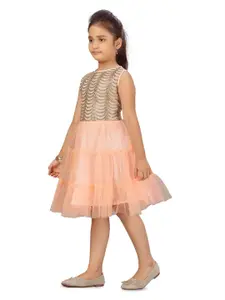 BAESD Embellished Net Fit & Flare Dress