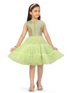 BAESD Net Fit & Flare Dress