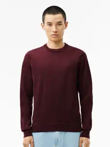 Lacoste Men Round Neck Woollen Pullover