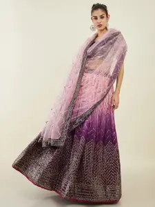 DIVASTRI Embellished Sequinned Semi-Stitched Lehenga & Unstitched Blouse With Dupatta