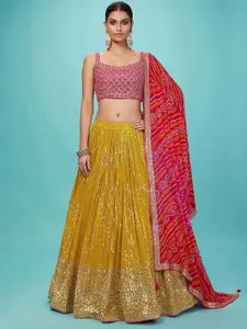 DIVASTRI Embellished Sequinned Semi-Stitched Lehenga & Unstitched Blouse With Dupatta