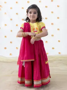 Tiber Taber Girls Embroidered Ready to Wear Lehenga & Blouse With Dupatta