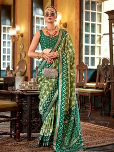 elora Zari Patola Saree