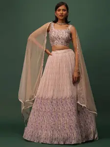 DIVASTRI Embroidered Mirror Work Semi-Stitched Lehenga & Unstitched Choli With Dupatta