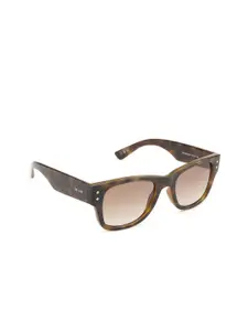 OPIUM Men Brown Plastic Wayfarer Sunglasses with UV Protected Lens OP-10299-C01-52