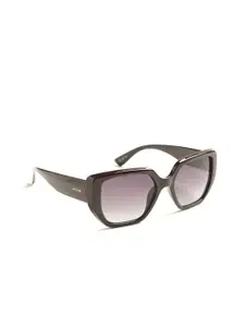 OPIUM Women Burgundy Butterfly UV Protected Lens Plastic Sunglasses for Women