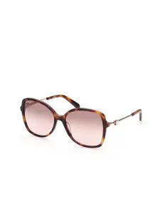 SWAROVSKI UV Protected Butterfly Acetate Sunglasses