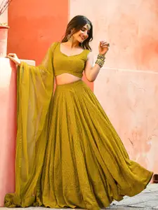 DIVASTRI Embroidered Sequinned Semi-Stitched Lehenga & Unstitched Blouse With Dupatta