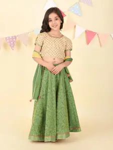 Fabindia Girls Printed Ready to Wear Lehenga & Blouse With Dupatta