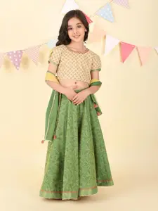 Fabindia Girls Printed Ready to Wear Cotton Lehenga & Embroidered Blouse With Dupatta