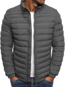 StyleCast x Revolte Men Stand Collar Insulator Regular Padded Jacket