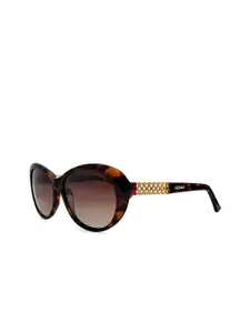 Azzaro Women Butterfly Sunglasses with Polarised Lens AZ60035 C171