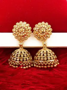 Anujeet Fashion Hub Gold-Plated Dome Shaped Jhumkas