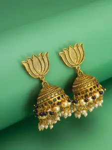 aadita Gold-Plated Pearls Beaded Dome Shaped Jhumkas