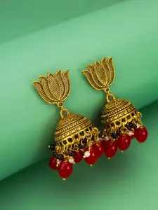 aadita Gold-Plated Pearls Beaded Dome Shaped Jhumkas