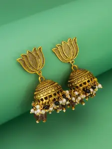 aadita Gold-Plated Pearls Beaded Dome Shaped Jhumkas