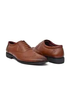 ARAMISH Men Leather Formal Brogues