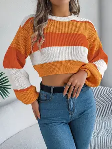 StyleCast x Revolte Women Colourblocked Crop Pullover