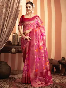 Satrani Ethnic Motifs Zari Organza Saree