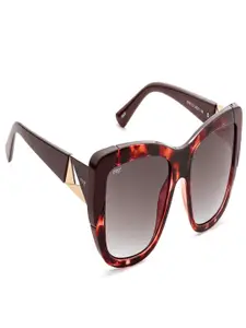 Image Women Square Sunglasses with UV Protected Lens IMS796C2SG