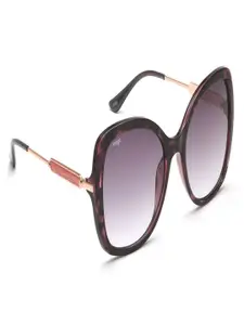 Image Women Butterfly Sunglasses with UV Protected Lens IMS784C3SG