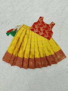 FELIZ THE DESIGNER STUDIO Girls Floral Woven Design Ready to Wear Lehenga & Blouse