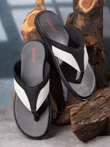 The Roadster Lifestyle Co Men Colorblocked Thongs